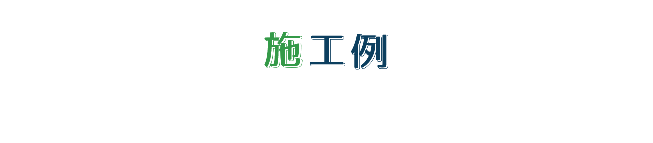 施行例